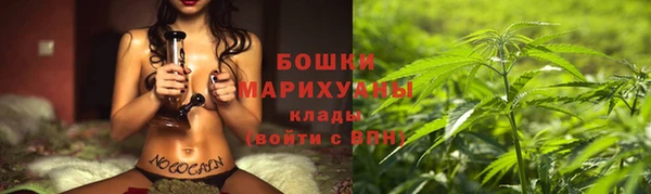 PSILOCYBIN Алексеевка